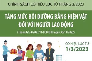 Thông tư 24/2022/BLĐTBXH Quy định bồi dưỡng hiện vật