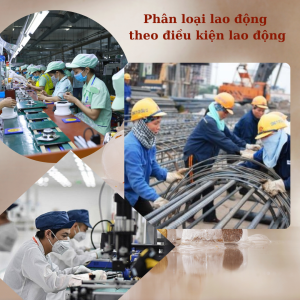 Phân loại lao động theo điều kiện lao động